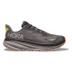 Hoka Clifton 9 GTX